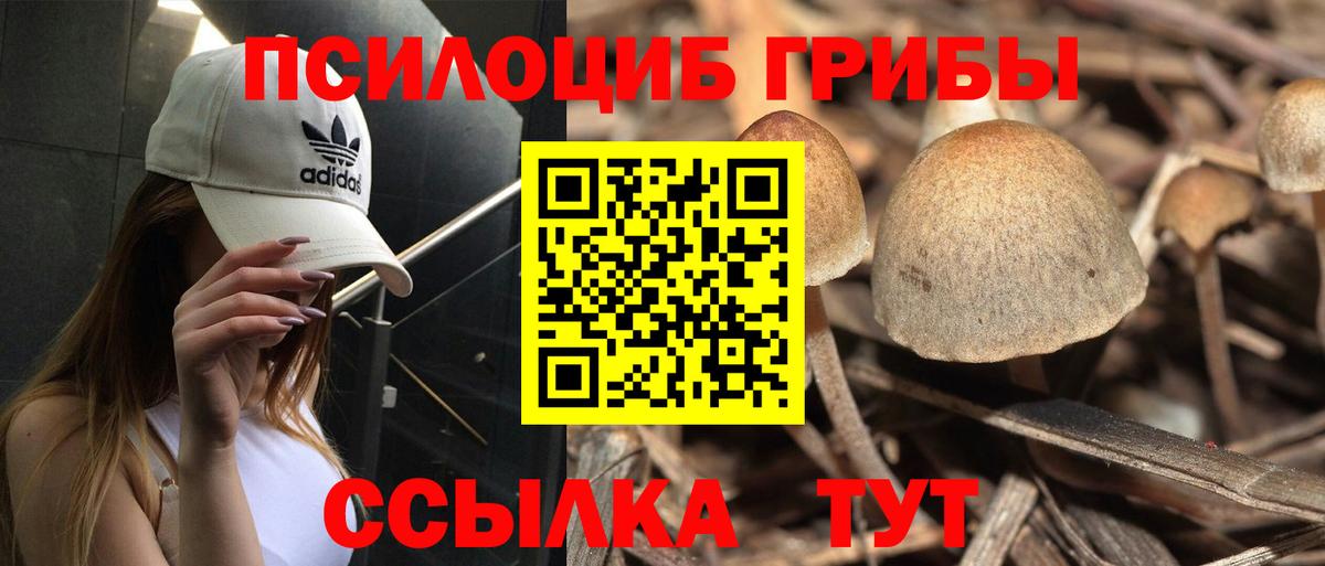 купить закладку  Псилоцибиновые грибы Magic Shrooms  Вход с VPN  Южно-Сахалинск  Галлюциногенные грибы Psilocybine cubensis 